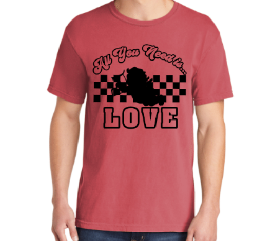 All You Need is Love *comfort colors* tee or crewneck