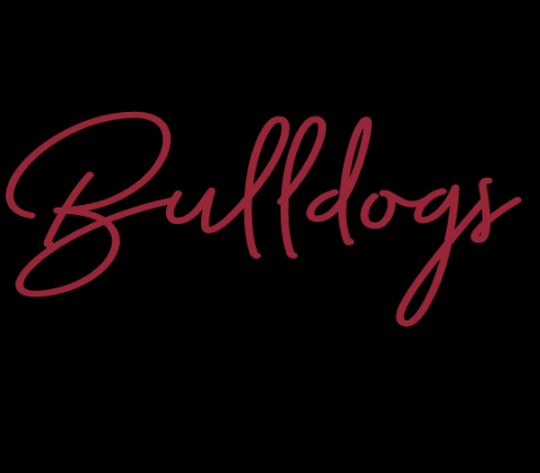 Fancy Bulldogs - tee, crewneck or hoodie