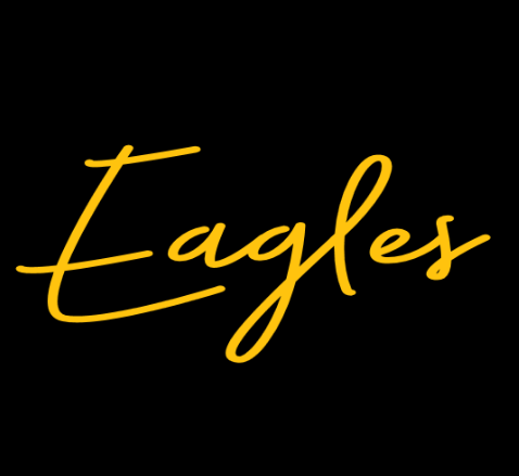 Fancy Eagles - tee, crewneck or hoodie