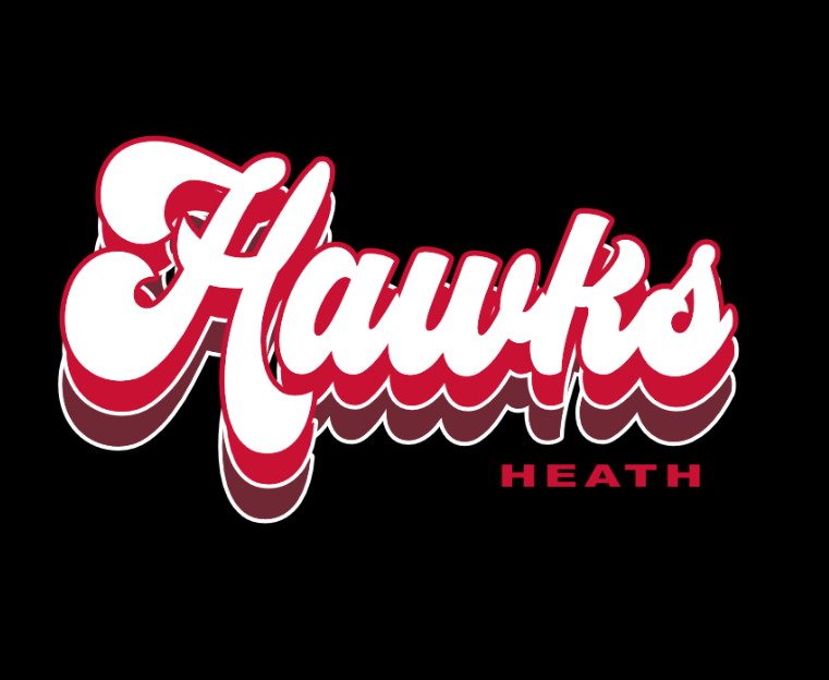 Groovy Hawks - tee, crewneck or hoodie