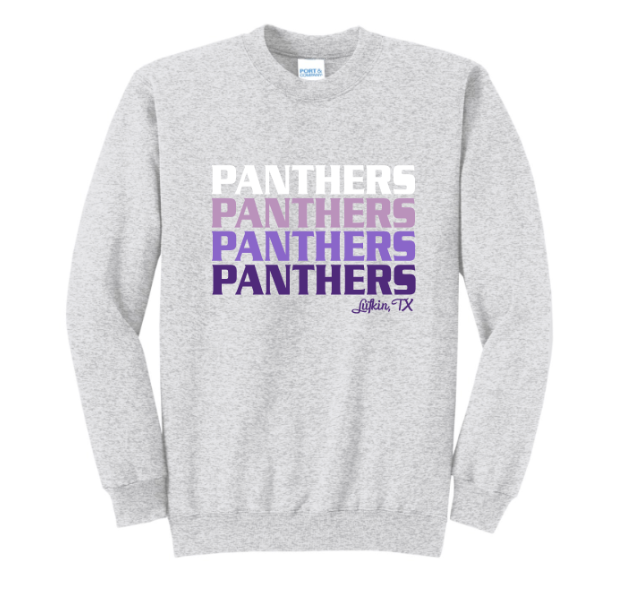 Block Ombre Panthers - tee, crewneck or hoodie