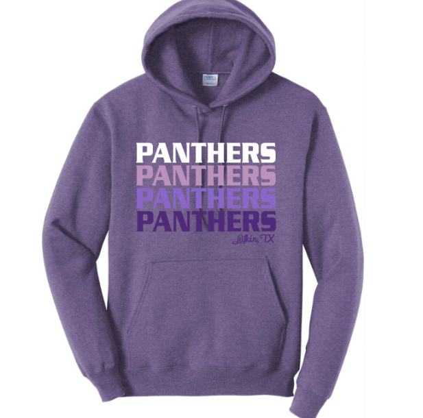 Block Ombre Panthers - tee, crewneck or hoodie