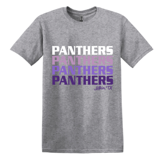 Block Ombre Panthers - tee, crewneck or hoodie